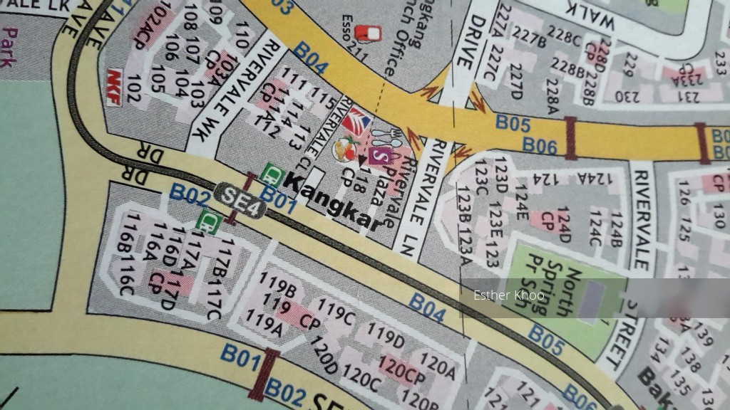 Blk 117C Rivervale Drive (Sengkang), HDB 5 Rooms #106591042